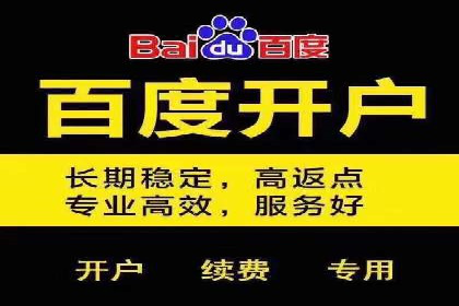 百度SEM代运营案例解析：揭秘高转化率策略